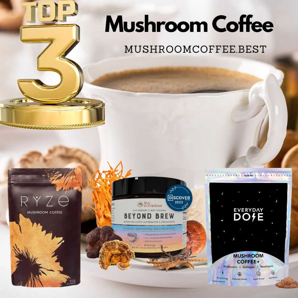 Best Mushroom Coffee - Top 3 Reviewed