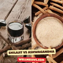 Shilajit vs Ashwagandha