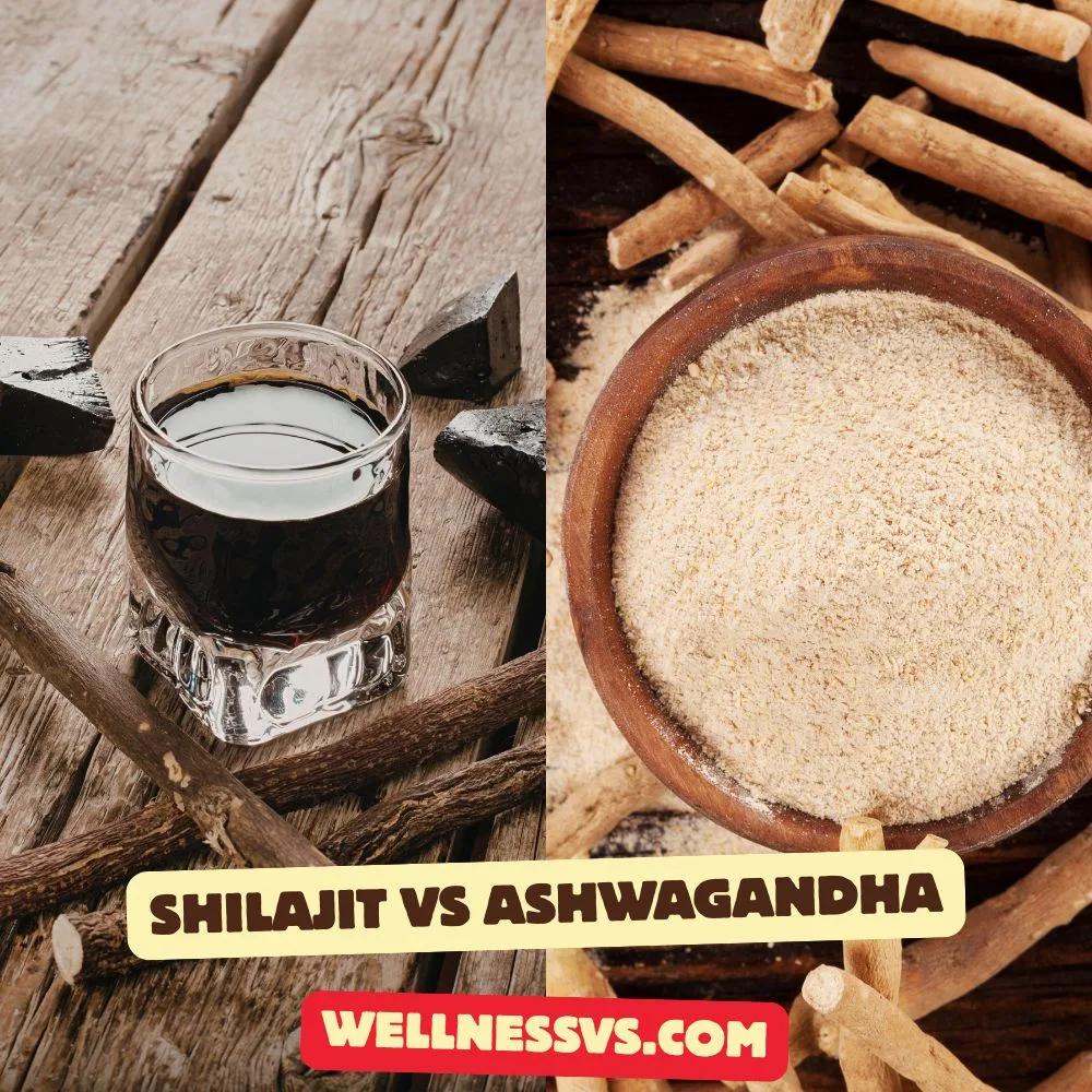 Shilajit vs Ashwagandha